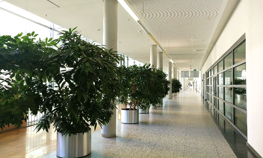 /images/2020/05/26/海德堡 内分泌代谢科.png