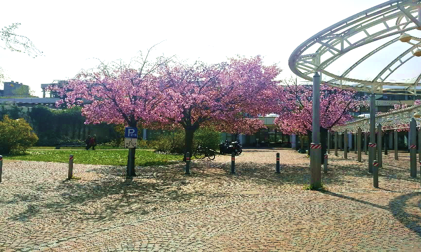 /images/2020/05/26/海德堡 神经内外科.png