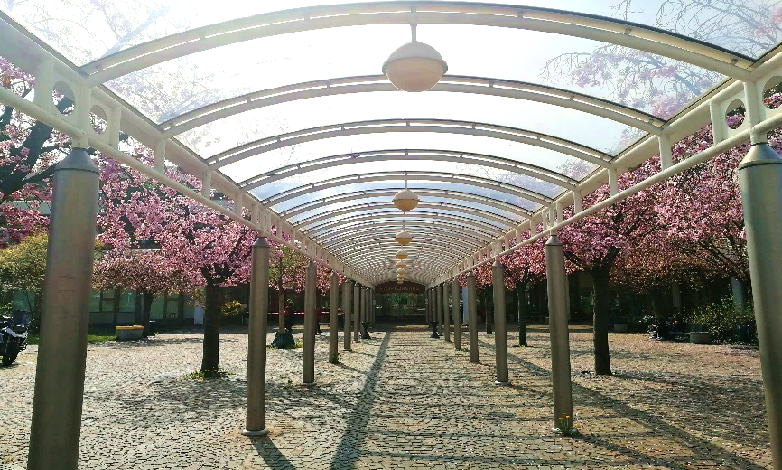 /images/2020/05/26/海德堡 神经内外科2.png /images/2020/05/26/海德堡 神经内外科2.png